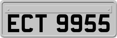 ECT9955