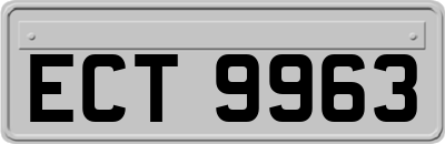 ECT9963