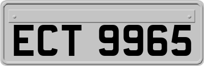 ECT9965