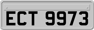 ECT9973