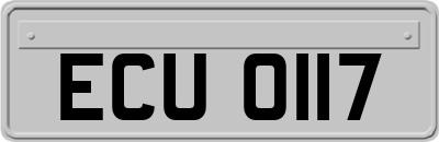 ECU0117