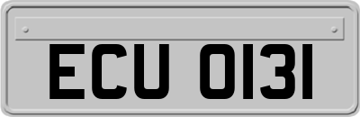 ECU0131