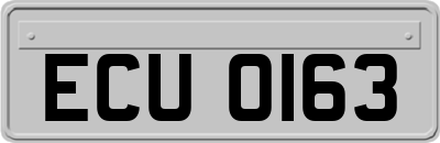 ECU0163