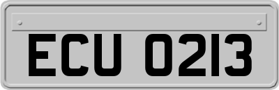 ECU0213