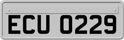 ECU0229