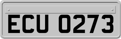 ECU0273
