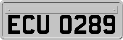 ECU0289