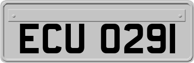 ECU0291