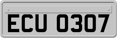 ECU0307