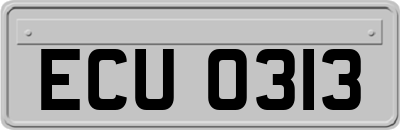 ECU0313