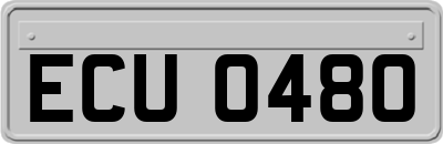 ECU0480