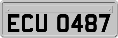 ECU0487