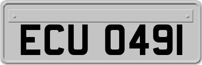 ECU0491