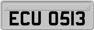 ECU0513