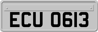 ECU0613