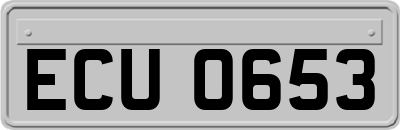 ECU0653