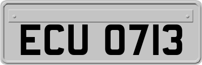ECU0713
