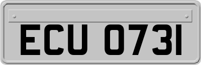 ECU0731