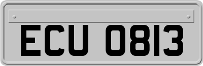 ECU0813