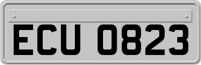 ECU0823
