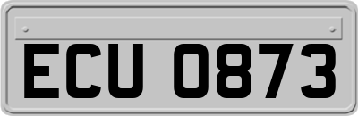 ECU0873