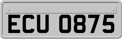 ECU0875