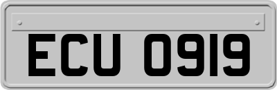 ECU0919