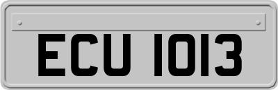 ECU1013