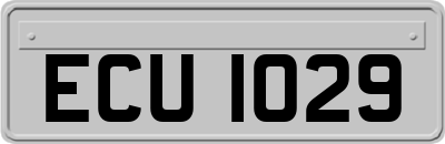 ECU1029