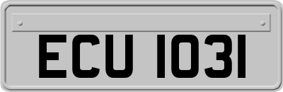 ECU1031