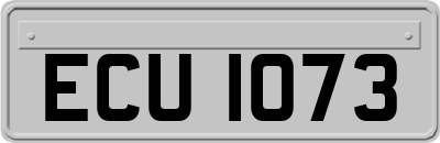 ECU1073