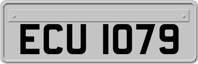 ECU1079