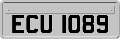 ECU1089