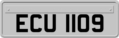 ECU1109