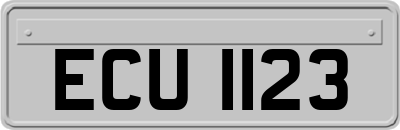 ECU1123