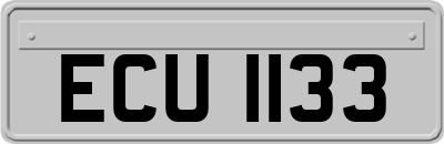 ECU1133