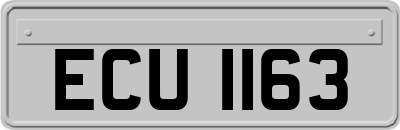 ECU1163