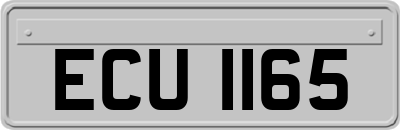 ECU1165