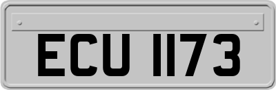 ECU1173