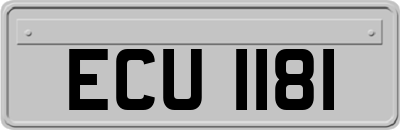 ECU1181