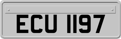 ECU1197