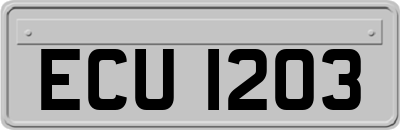 ECU1203