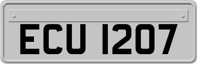ECU1207