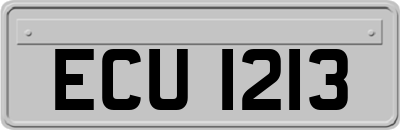 ECU1213