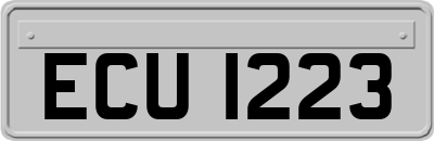 ECU1223