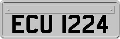 ECU1224