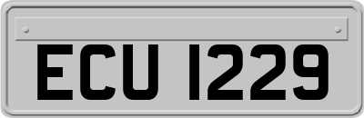 ECU1229