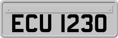 ECU1230