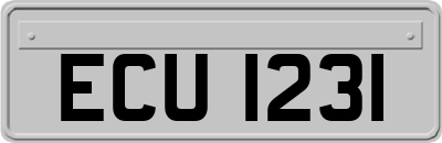 ECU1231