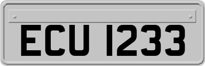 ECU1233